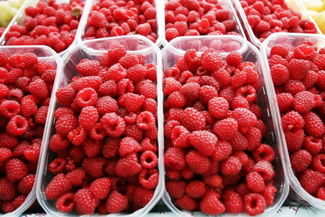 Podrinjski malinari u narednim danima odlučuju o protestima zbog otkupne cijene