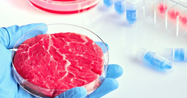 Vlada Italije pripremila nacrt zakona o zabrani proizvodnje i prodaje sintetičke hrane