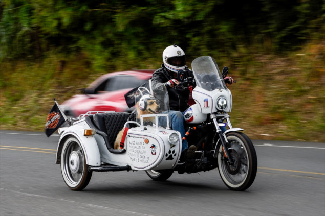 Pas Max popularni ”motorista“ u Caliju