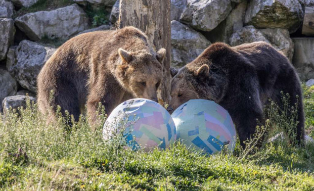 Životinje u zagrebačkom Zoološkom vrtu dobile uskršnje pisanice i novi termitnjak