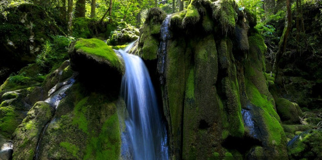 Sarajevo: Vrelo Miljacke, skriveni biser prirode