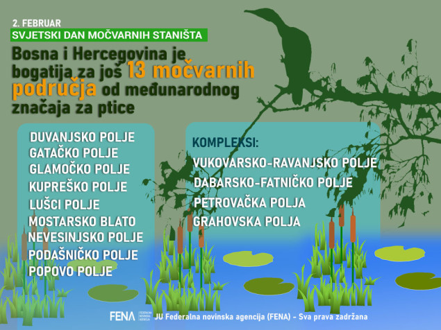 BiH bogatija za 13 močvarnih područja od međunarodnog značaja za ptice