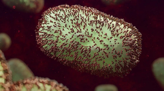 U Španiji prvi smrtni slučaj od majmunskih boginja u Evropi