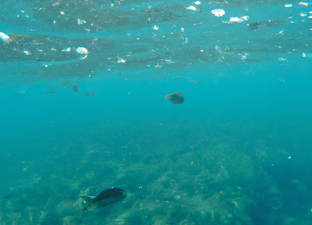 Trump potpisao naredbu o intenziviranju rudarenja u dubokom moru