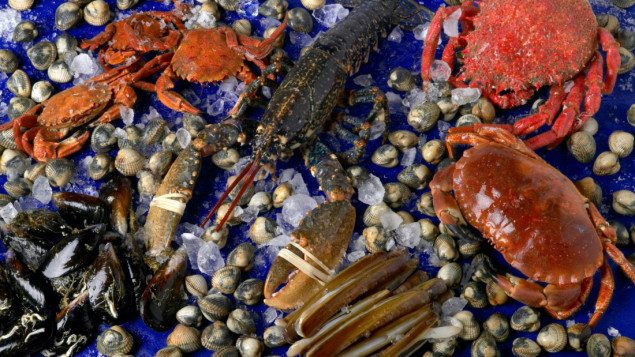 Kina zabranila uvoz morske hrane iz Japana