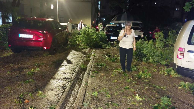 Brojne intervencije vatrogasaca u Mostaru, stablo palo na tri automobila