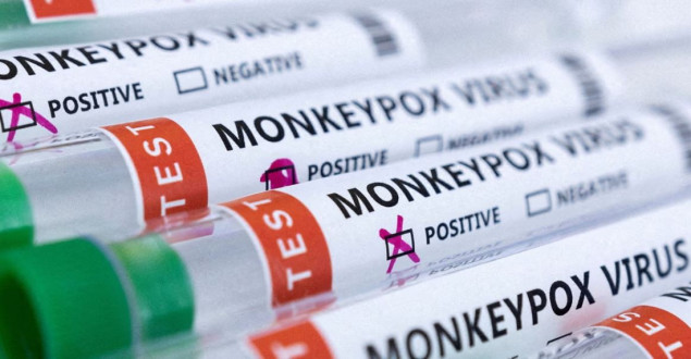 Filipini: Otkrivena još tri slučaja majmunskih boginja