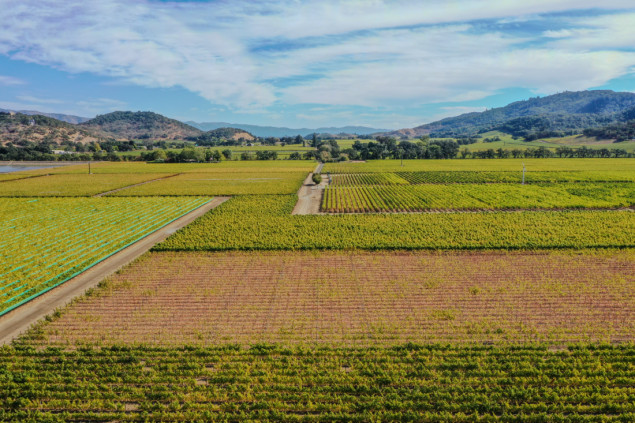 Dolina Napa - bogati vinogradi Kalifornije