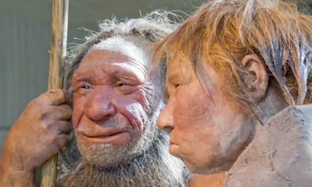 Najstariji kuhani ostaci ikada pronađeni sugeriraju da su neandertalci bili gurmani
