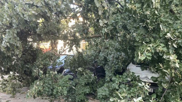 Mostarski vatrogasci imali veći broj intervencija radi olujnog nevremena