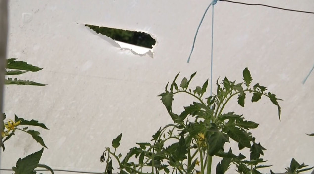 U TK-u uništeni usjevi, poljoprivrednici pred velikim gubicima