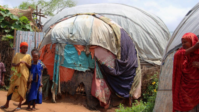 Za borbu protiv nestašice hrane u Nigeriji 241 milion dolara