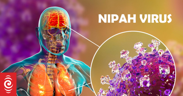 Trenutno nema zabilježenih slučajeva infekcije virusom Nipah u Evropi