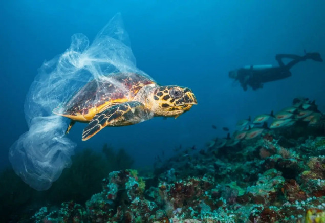 Svaki dio okeana sada je pod prijetnjom klimatskih promjena, gubitka bioraznolikosti i onečišćenja