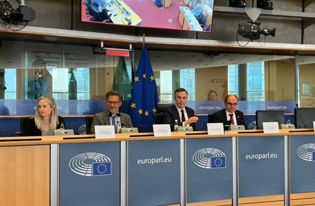 Schmidt informirao Odbor za vanjske poslove EP o uzrocima zastoja u BiH