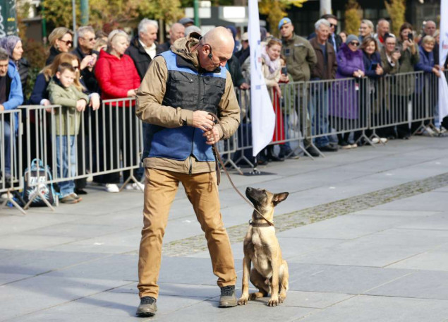 Snaga povjerenja i dresure: Policijski psi pokazali zašto su nezamjenjivi