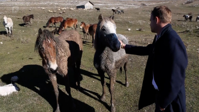 Počinje izrada studije za proglašenje Krug planine zaštićenim područjem