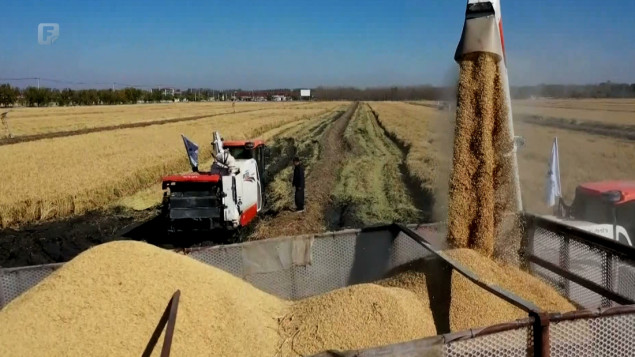 Poljska i Mađarska zabranile uvoz žita iz Ukrajine