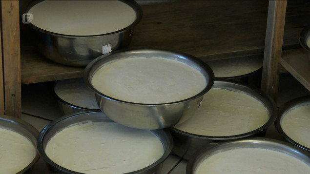 VTK BiH: Zasad se ne može govoriti o nestašici mlijeka