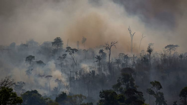 U brazilskom Amazonu u augustu najgori požari od 2010. godine
