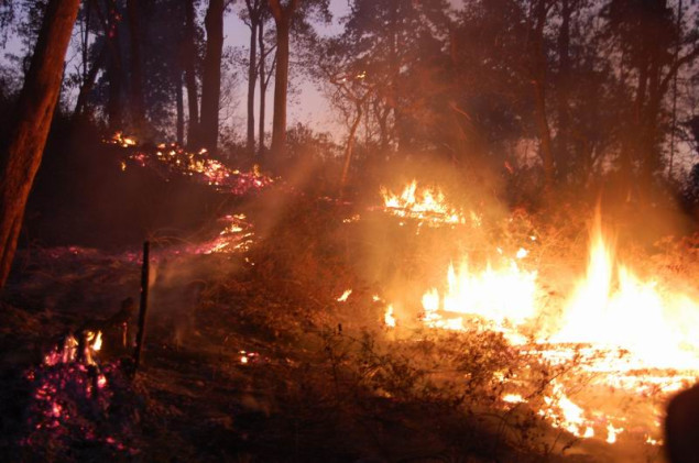 Vanredna situacija u više gradova Srbije zbog 620 požara na otvorenom