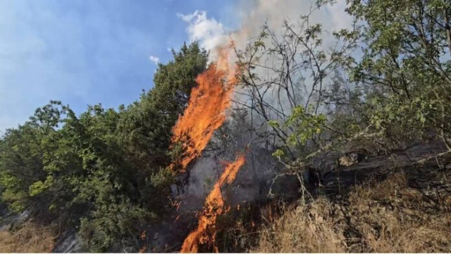 U Sjevernoj Makedoniji u posljednja 24 sata izbila 23 šumska požara