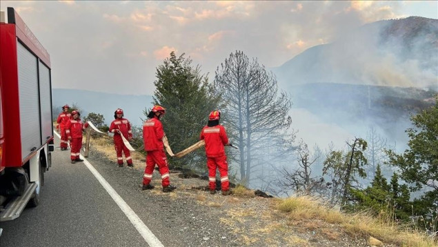 Smanjen broj šumskih požara u Albaniji, u nekim dijelovima zabilježene padavine