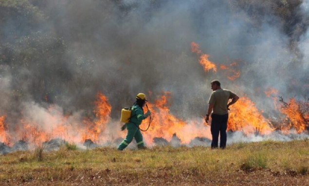 Požari u Južnoj Africi: Poginulo šest vatrogasaca