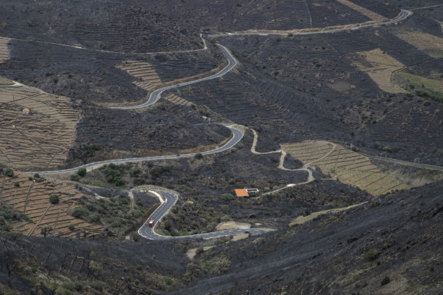 Šumski požari na granici Francuske i Španije stavljeni pod kontrolu