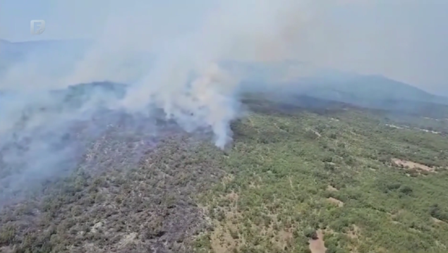 Požar u rejonu Vrtaljice u Konjicu i dalje se širi