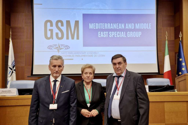 Delegacija PSBiH na seminaru Specijalne grupe za Mediteran i Bliski istok PSNATO-a u Rimu