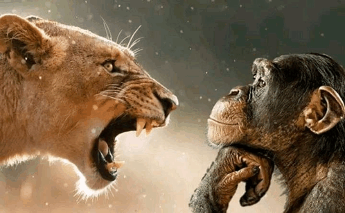 Rage bait - Oxfordova riječ godine