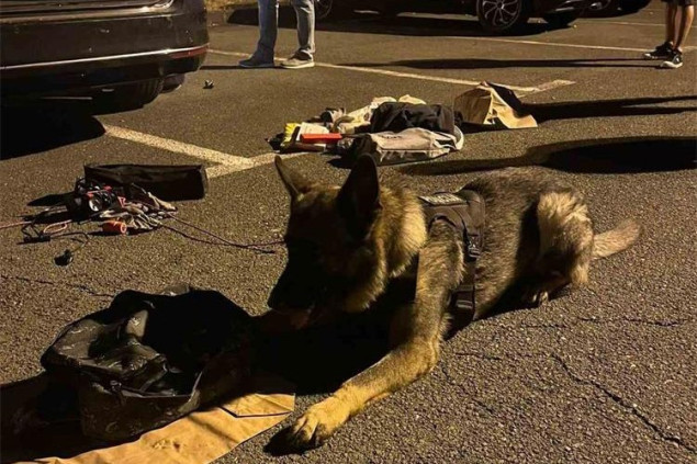 Rijeka: Državljanin BiH uhićen s više od pet kilograma kokaina