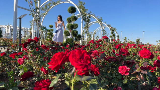 Vrt sa 190 vrsta ruža u znak sjećanja na mistika i pjesnika Rumija