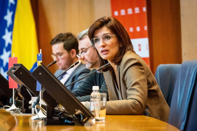 Naša stranka danas bira novog predsjednika, jedini kandidat je Sabina Ćudić