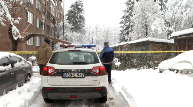 Formiran predmet zbog smrti žene na koju je palo stablo na Grbavici