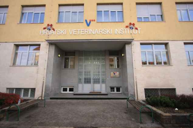 Hrvatska: Ukupno 40 uzoraka uginule stoke pozitivno na bedrenicu