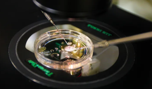 Revolucionarno otkriće: Naučnici stvorili ljudske embrione iz ćelija kože