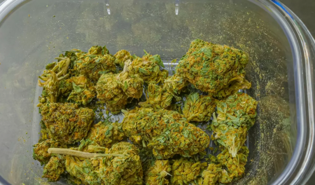 Policija HNK oduzela više vrsta opojnih droga