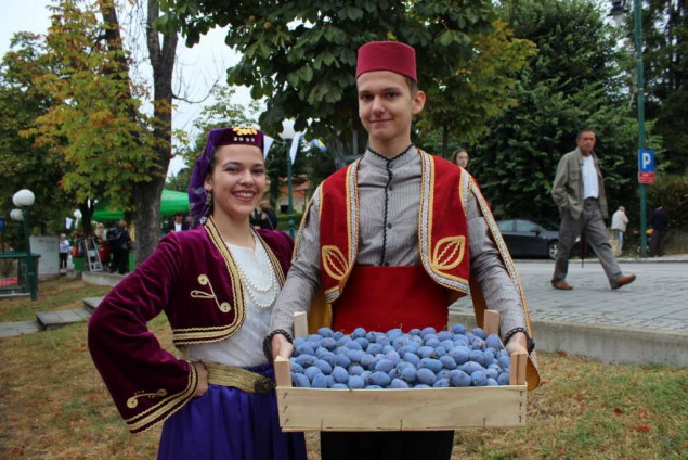 Privode se kraju pripreme za 51. Sajam šljive, najveći uvoznik gradačačke šljive Njemačka