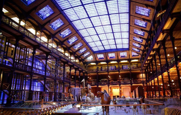 Opljačkan Nacionalni prirodnjački muzej u Parizu, ukradeno zlato vrijedno 600 000 eura