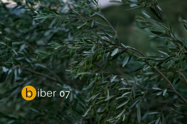 Raspisan sedmi konkurs za kratku priču "Biber"