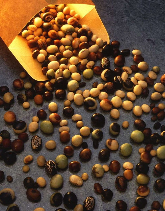 S tržišta BiH povlači se skupina sojinih proizvoda