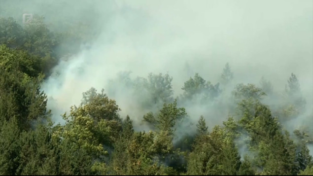 Priveden osumnjičeni požar u selu Margetići, u dijelu Olova stanje prirodne nesreće