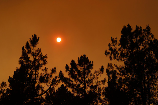 EU: Prekomjerna smrtnost u julu zbog toplotnog talasa