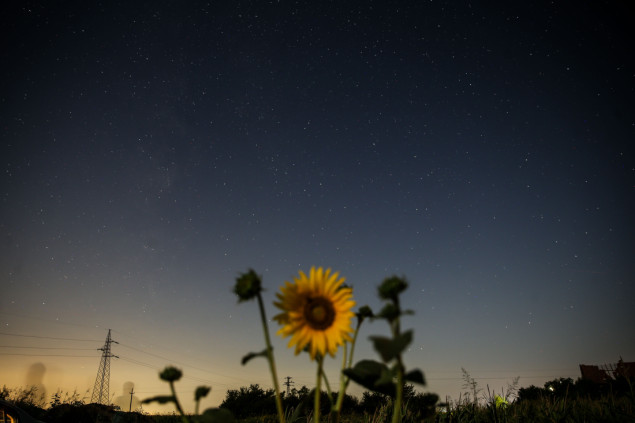 Perzeidi na nebu iznad Srbije: Snimci iz sela Crepaja oduzimaju dah