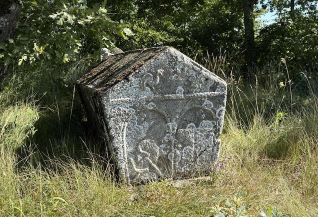 Mladi iz tri zemlje mapirali više od 250 lokaliteta stećaka