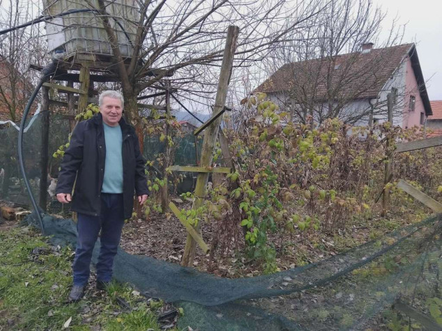 Stojanović: Znatno smanjena proizvodnja maline na području Srebrenice, Bratunca i Milića