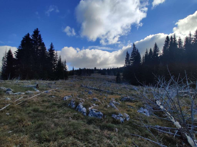 Uprava za šumarstvo KS - Kazne za loženje vatre u šumama do 1.500 KM