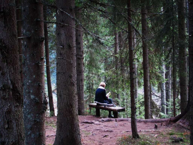 Svjetski dan šuma 2024. – Šume i inovacije: Nova rješenja za bolji svijet